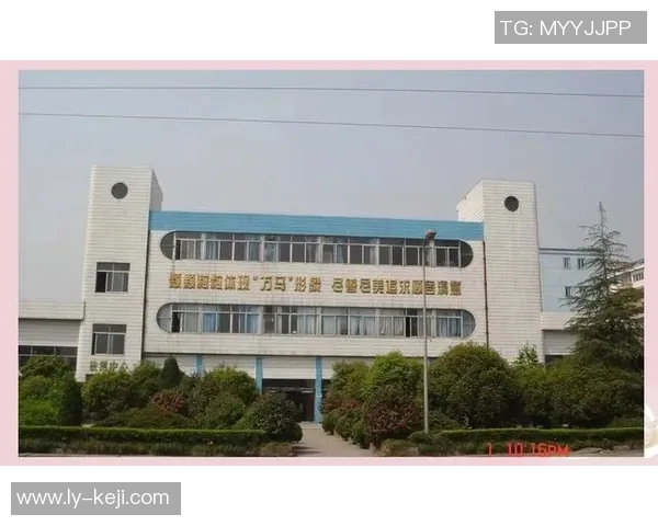 南京羽毛球队勇闯城市联赛的辉煌历程与未来展望 南京羽毛球队勇闯城市联赛的辉煌历程与未来展望