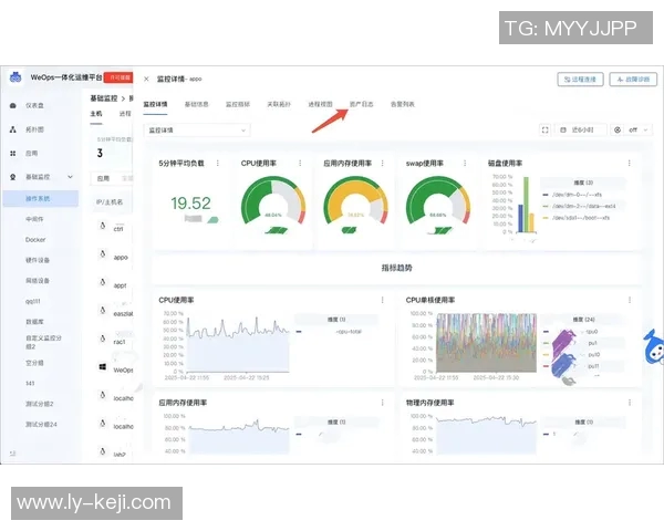 数据分析揭示WE意识的多维表现与影响因素探讨