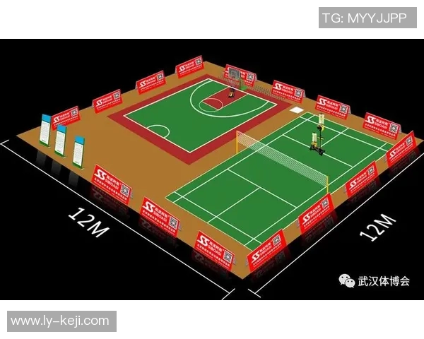 武汉极限运动队现状分析与发展前景探讨