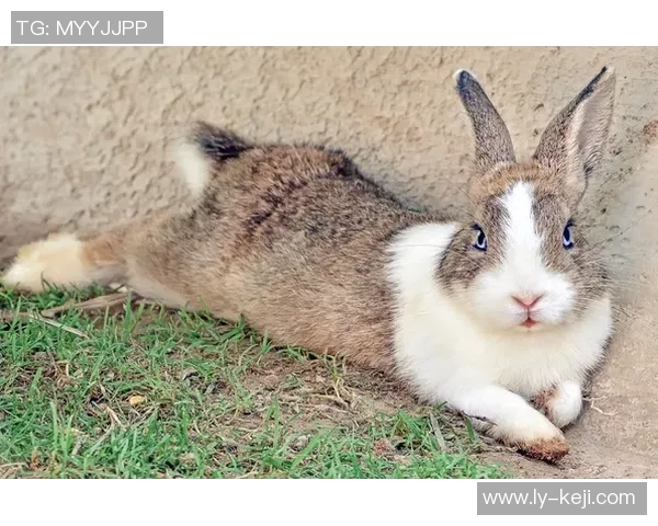 对话杨秀英:回顾她的网球生涯与未来展望 对话杨秀英:回顾她的网球生涯与未来展望