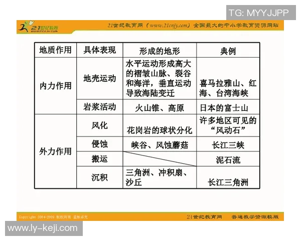 武汉极限运动队状态分析与表现评估的全面数据研究