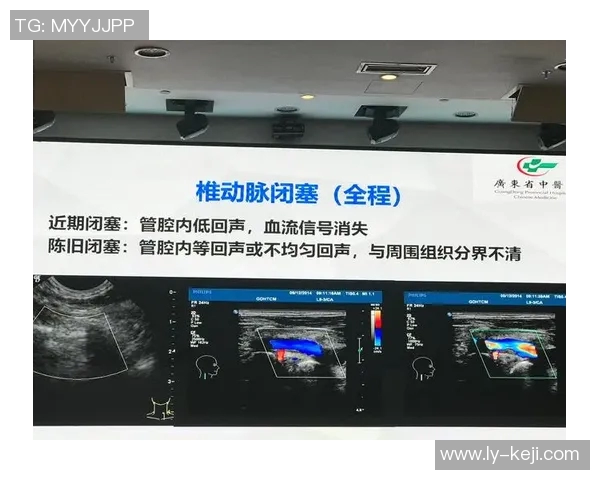 布尔格与索肖的对决分析及双方近期状态评估