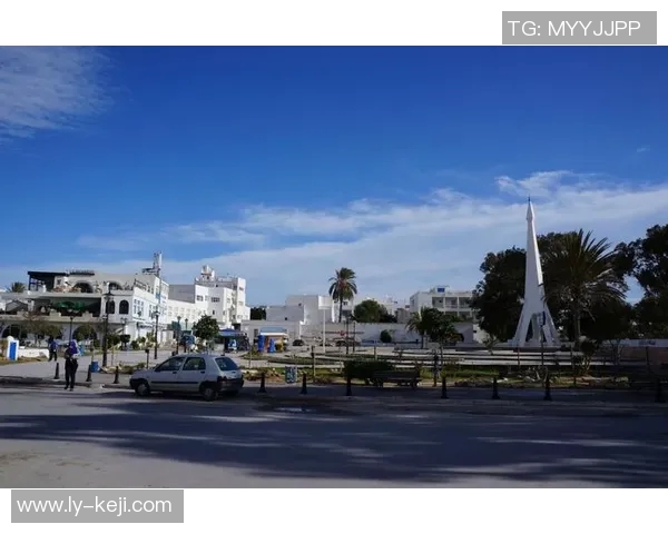 马里与突尼斯精彩对决直播全程回顾与分析