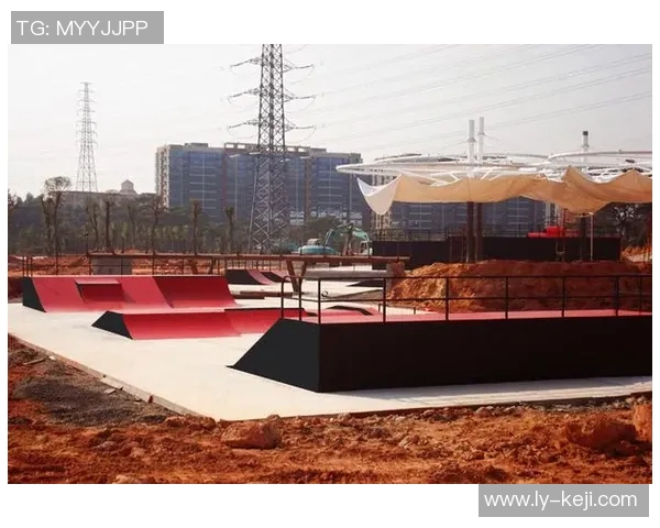 极限运动专题：深入分析上海极限运动队的战术布局与竞技策略MBA