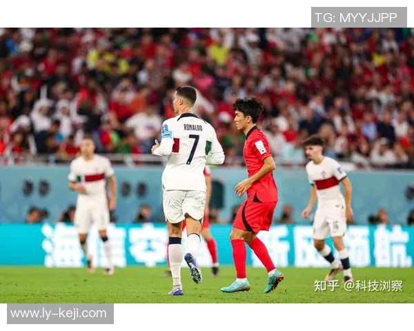 杭州排球队勇闯世界杯预选赛展现逆袭精神与团队力量