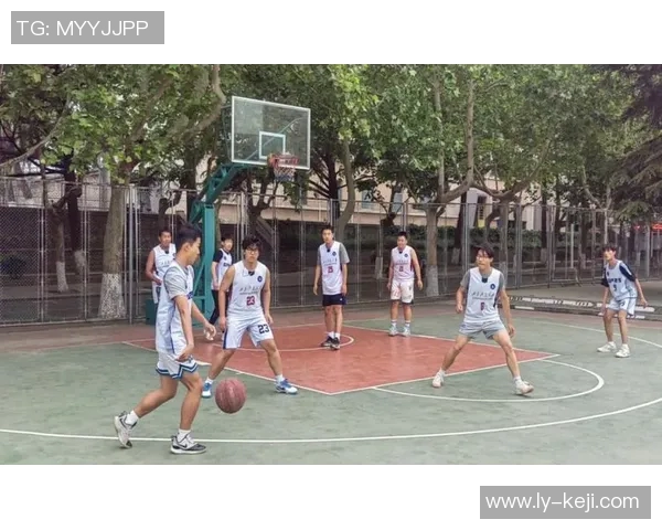 篮球明星学校：培养未来篮球巨星的摇篮与梦想之地