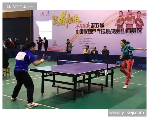 乒乓球传奇赵芳的奋斗与荣耀之路深度对话